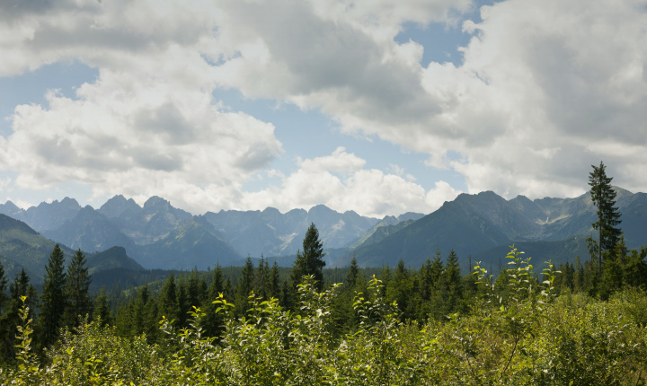 Panorama of the Tatra Mountains from Bukovina