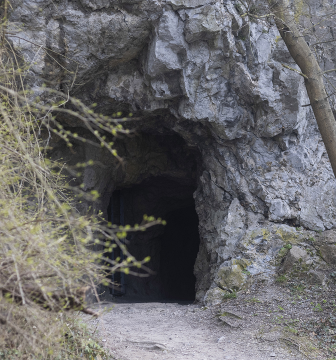 Entrance to the cave