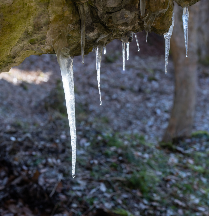 Ice icicles hanging from the rock