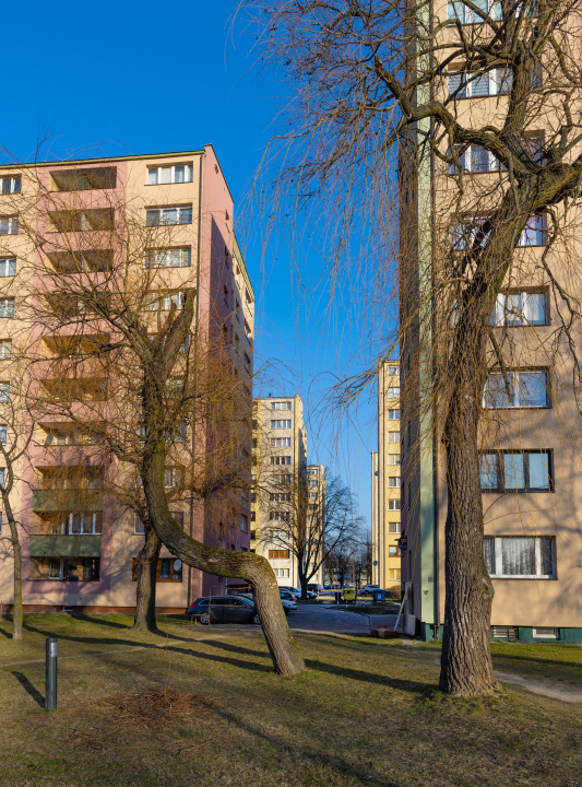 A housing estate with tall buildings