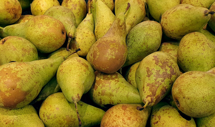 Pears on the Shop Exposition