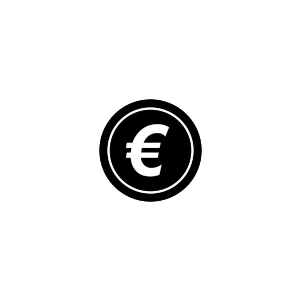 Euro coin icon