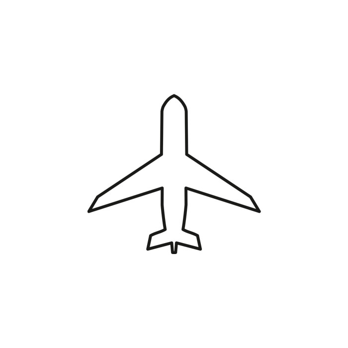 Passenger Airplane Icon