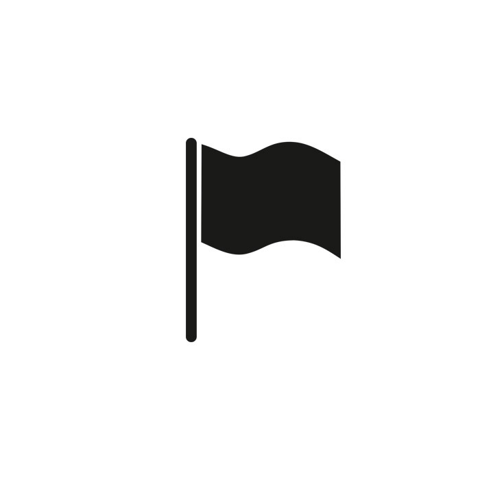 Flag vector icon