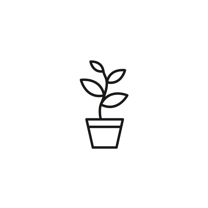 The seedling in the pot. Icon